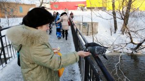 Праздники заканчиваются. Все отдыхают.