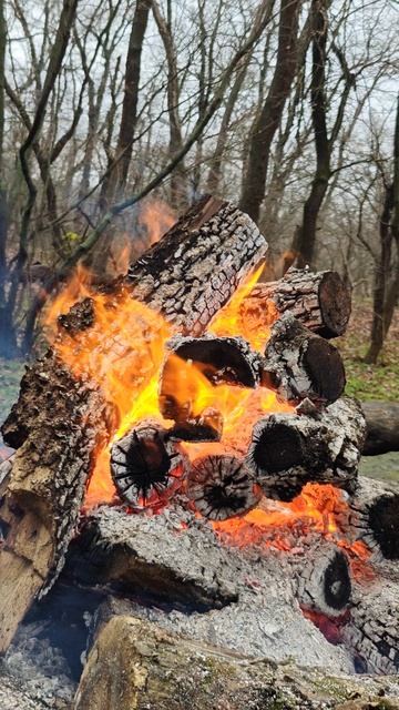 ЯРКИЙ КРАСИВЫЙ КОСТЕР смотреть онлайн