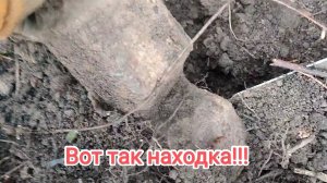 Копайте все сигналы!Вот такие  находки могут лежать под консервной банкой!!!