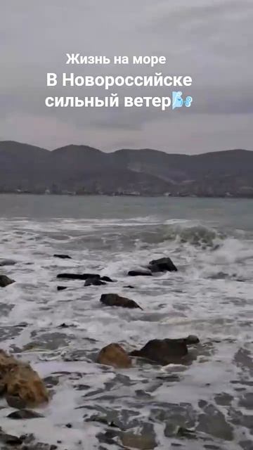 Жизнь на море🌊