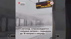 Снежный армагеддон! На Москву и область обрушился циклон «Фрэнсис»