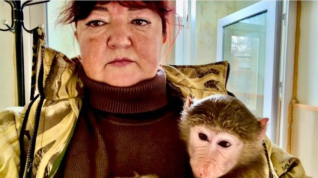 Я в ШОКЕ от того, что происходит, а Анфиса подсматривает и нас выдает! смотреть онлайн