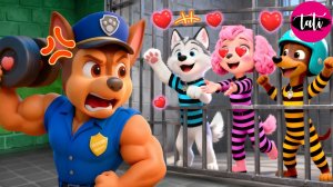 Щенячий патруль и Маршалл. Залипательное видео. Мультфильм для детей и малышей. Анимация 66