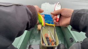 Приманки на монстра