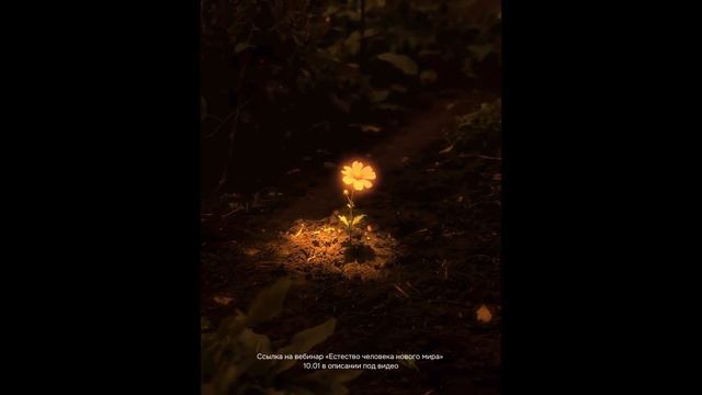 ПРО СВЕРХЕСТЕСТВЕННОСТЬ, ЧЕСТНО смотреть онлайн