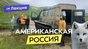 Командорские острова — гигантский морской заповедник. Как добраться и чем заняться?