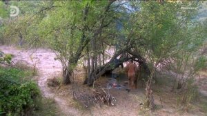 Голые и напуганные 11 сезон 6 серия (реалити-шоу, 2020)