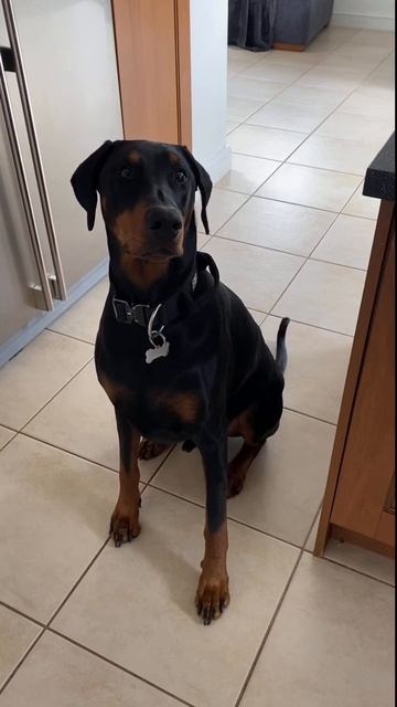 Такой концовки я и сам не ожидал (142) смотреть онлайн