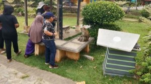 Почти ручные обезьяны о. Лангкави