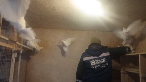 николаевские на 2026 год..