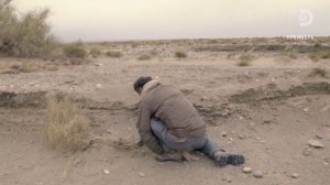 Эд Стаффорд: Игра на вылет 2 сезон 6 серия (реалити-шоу, 2020)