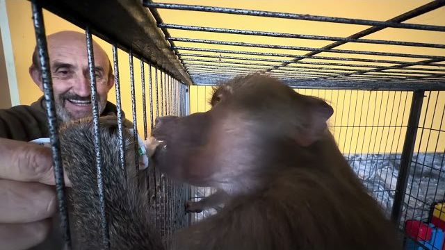 Это УЖАС, Степа никак не может наестся вкусной пюрешкой😘 смотреть онлайн