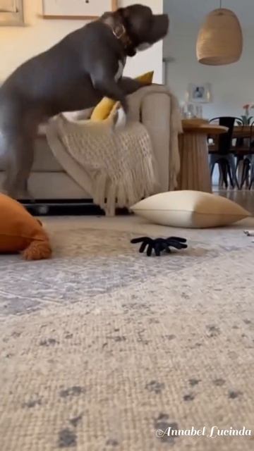 Лови живца😆!))