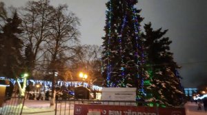 Влог / 08.01.2025 / Снова гости и пицца, прогулка в центре города