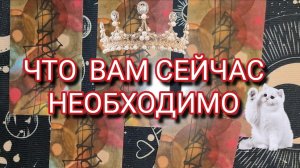 🌈🌝 ЧТО ВАМ СЕЙЧАС НЕОБХОДИМО? ГАДАНИЕ ОНЛАЙН ✨ ТЕРАПИЯ