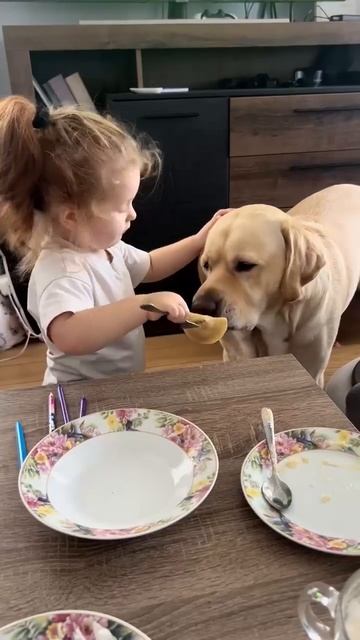 НАКОРМИЛА СОБАКУ =) смотреть онлайн