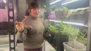 Новости из нашей лаборатории в январе