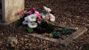 КРАСНОЯРСКИЕ ПРОСТИТУТКИ ОБЛЮБОВАЛИ КЛАДБИЩЕ