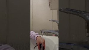 моем лошадь