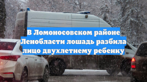 Лошадь разбила лицо двухлетней девочке в Ленобласти