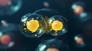 КЛЕТОЧНОЕ ОМОЛОЖЕНИЕ*РЕГЕНЕРАЦИЯ ВСЕГО ТЕЛА*АДАПТИРОВАННАЯ  МАТРИЦА ПО ТЕХНОЛОГИИ ГАРЯЕВА П.П.