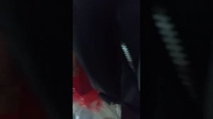 заходи на мою последнюю трансляцию.