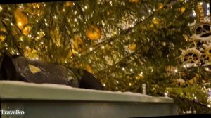 Зима в Москве-2026. Сова на улице Кузнецкий Мост