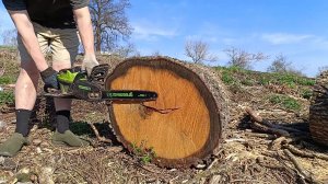 Ищу воду. Спускаю воду. Пилю толстый дуб аккумуляторной пилой. Закатываю дуб в гору. Апрель 18 2025