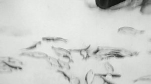 1979 год. Тюменский район. Зимняя рыбалка