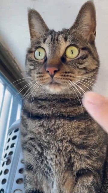 Руки убрал!