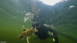 Подводная Охота " СОКРОВИЩА ВОЛГИ ". Большие Стаи Рыбы.