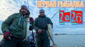 И зимой с лодки судаки ловятся