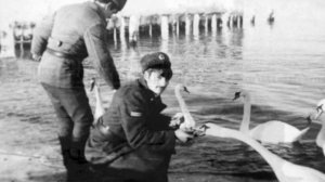 БАЛТИКА.  ВУСТРОВ.