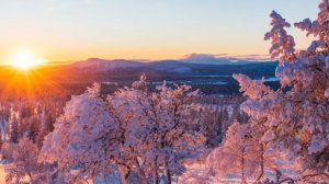 СП Добиваю недовязы 5/2026 Отчёт 2 с Мариной Стоговой