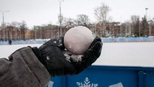 В Воронеже мужчина избил подростка за бросок снежка