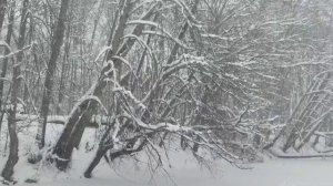 Леска трещит от такой ПЛОТВЫ! Рождественская рыбалка на чертика