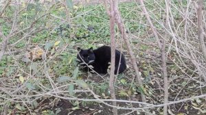 Один из дней города Евпатории | 6 января 2021 год | Крым | ХАН БАТОН XAH 6ATOH / VID_20210106_141649