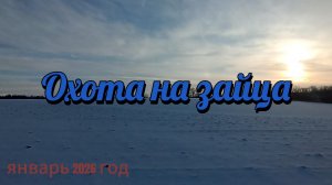 Охота на зайца