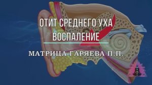 ОТИТ Среднего Уха*Оригинальная Программа Матрица по Технологии Гаряева П.П.