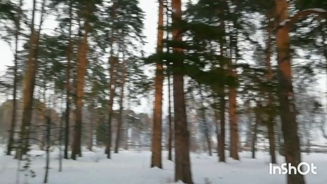 Рождественская поездка в Николо-Берёзовку