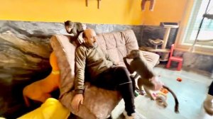 Вот это БАРДАК! Люся с бригадой порезвились в зимнем вольере и украсили его к Новому году😂!