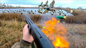 охота.ПОДКРАЛСЯ К СТАЕ УТОК ДАЖЕ ПОРОХ НЕ УСПЕВАЛ СГОРАТЬ!