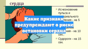 Какие признаки предупреждают о риске остановки сердца