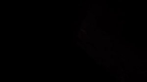 Доработал до конца!