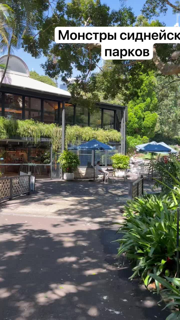 Ботанический сад Сиднея