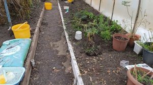 .Снег почти растаял. 9 января