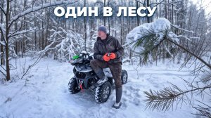 ОДИН в ЛЕСУ , НАСТУПИЛИ ХОЛОДА . ВОЛКИ БРОДЯТ в ПОИСКАХ ДОБЫЧИ . №374