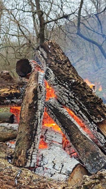 ЯРКИЙ КОСТЕР смотреть онлайн