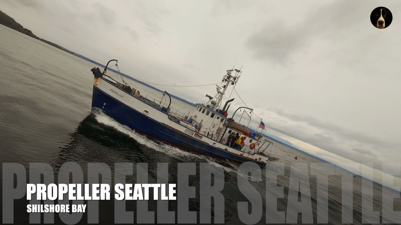 Набережная Сиэтла ⚓ Судно Propeller в заливе Shilshole Bay | DJI Avata
