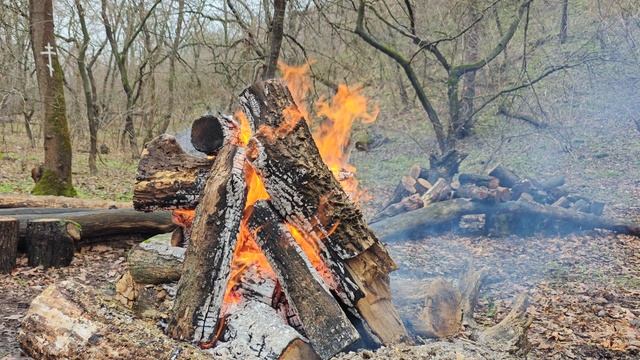 ЗАМЕЧАТЕЛЬНЫЙ ЗИМНИЙ КОСТЕР смотреть онлайн